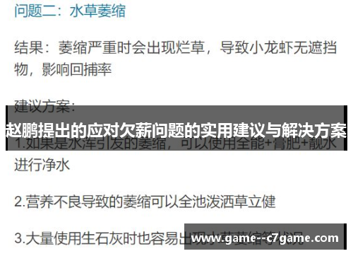 赵鹏提出的应对欠薪问题的实用建议与解决方案