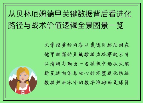 从贝林厄姆德甲关键数据背后看进化路径与战术价值逻辑全景图景一览